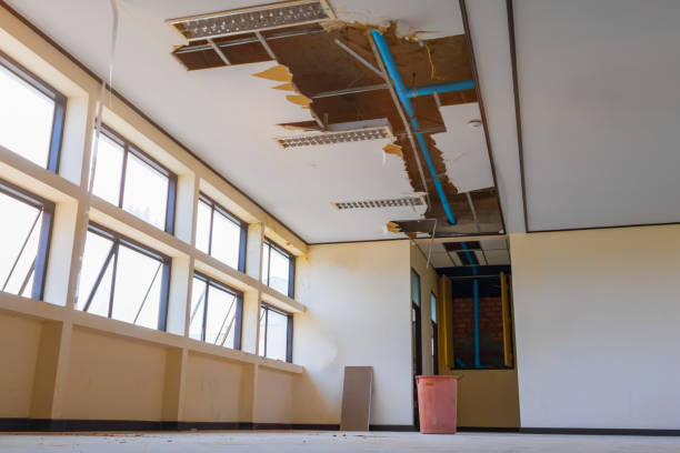 Best Ceiling water damage repair  in Westport Village, CT