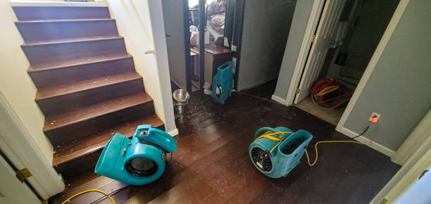 Best Flood restoration services  in Westport Village, CT