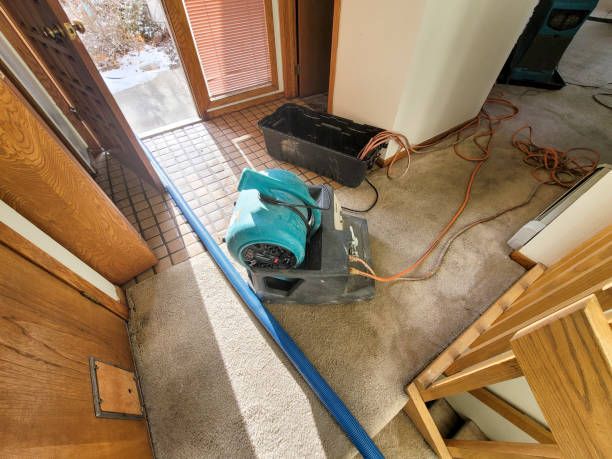 Best Water damage restoration near me  in Westport Village, CT
