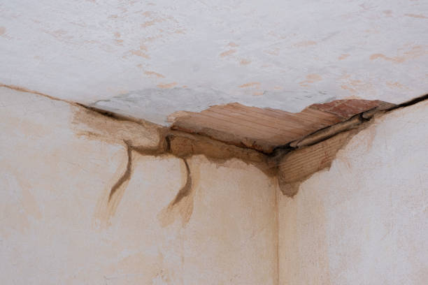 Best Commercial water damage restoration  in Westport Village, CT