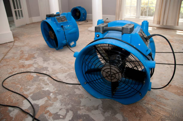 Best Fire Damage Restoration  in Westport Village, CT