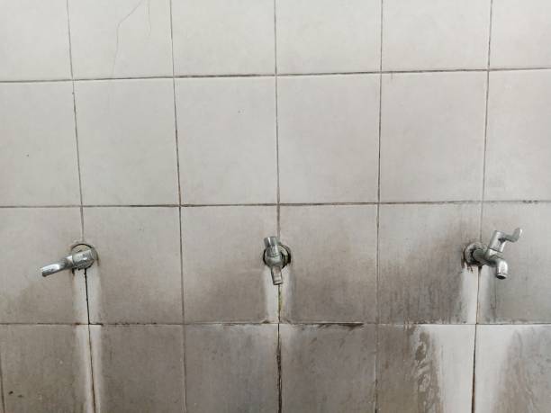 Best Water damage contractors near me  in Westport Village, CT